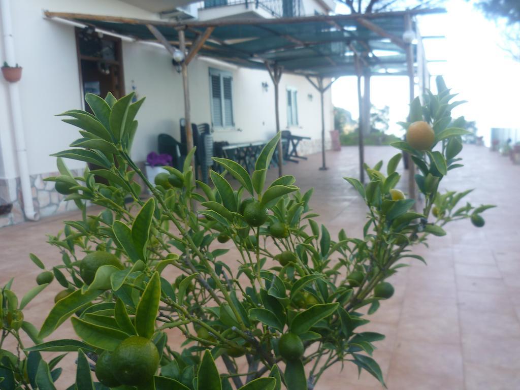 Alba Tra I Pini B&B Cefalú Exterior foto