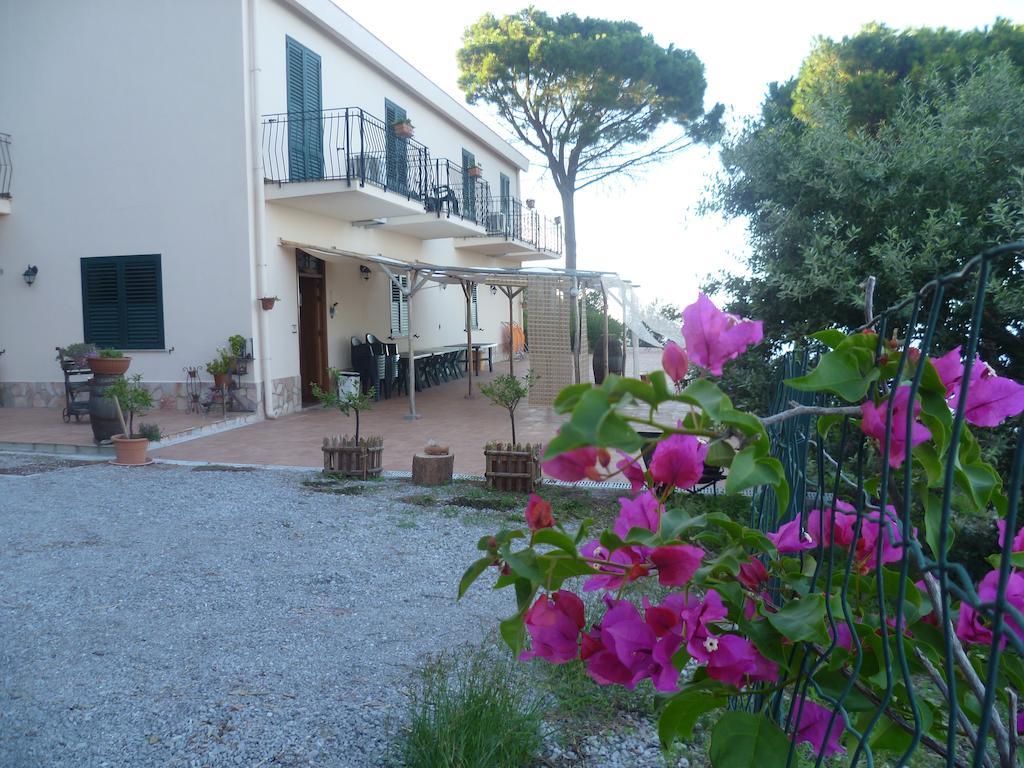 Alba Tra I Pini B&B Cefalú Exterior foto